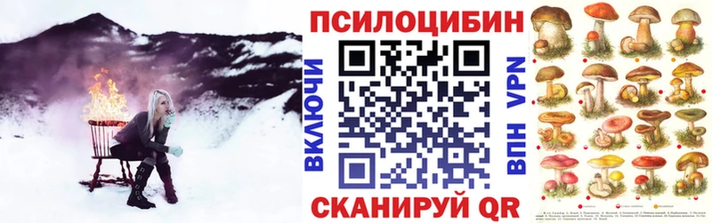 где купить наркоту  Соль-Илецк  Псилоцибиновые грибы мицелий 