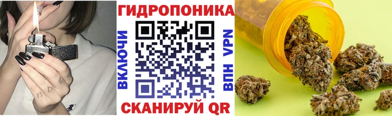 купить закладку  Соль-Илецк  Бошки Шишки Ganja 